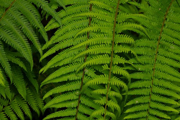 Les tendances du recrutement post-Covid