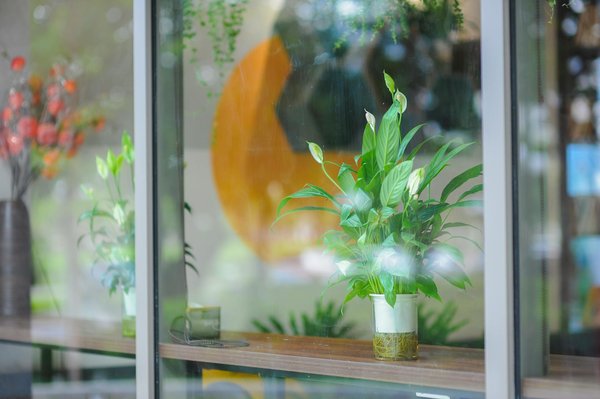 Époni, expert en livres personnalisés pour tous âges